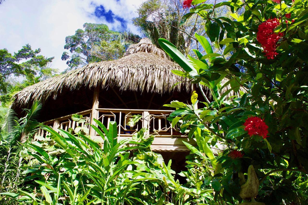 Villas Pico Bonito La Ceiba Exteriér fotografie